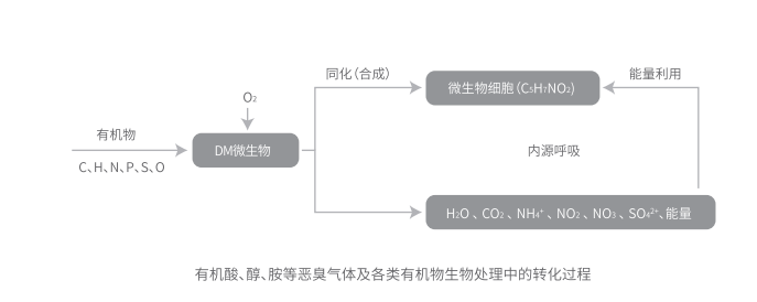 名峰环保微生物废气处理设备工作流程图