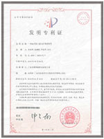 发明专利(图1)